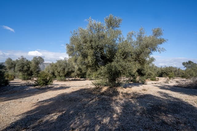 Quinta/Casa Rural para venda em Ulldecona - 12 500 € (Ref: 8748349)