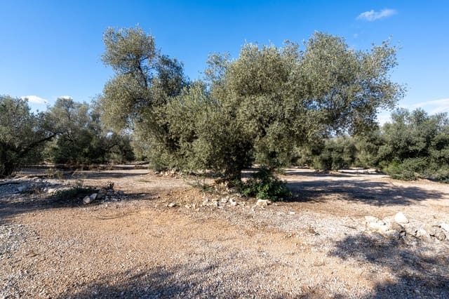 Quinta/Casa Rural para venda em Ulldecona - 12 500 € (Ref: 8748349)