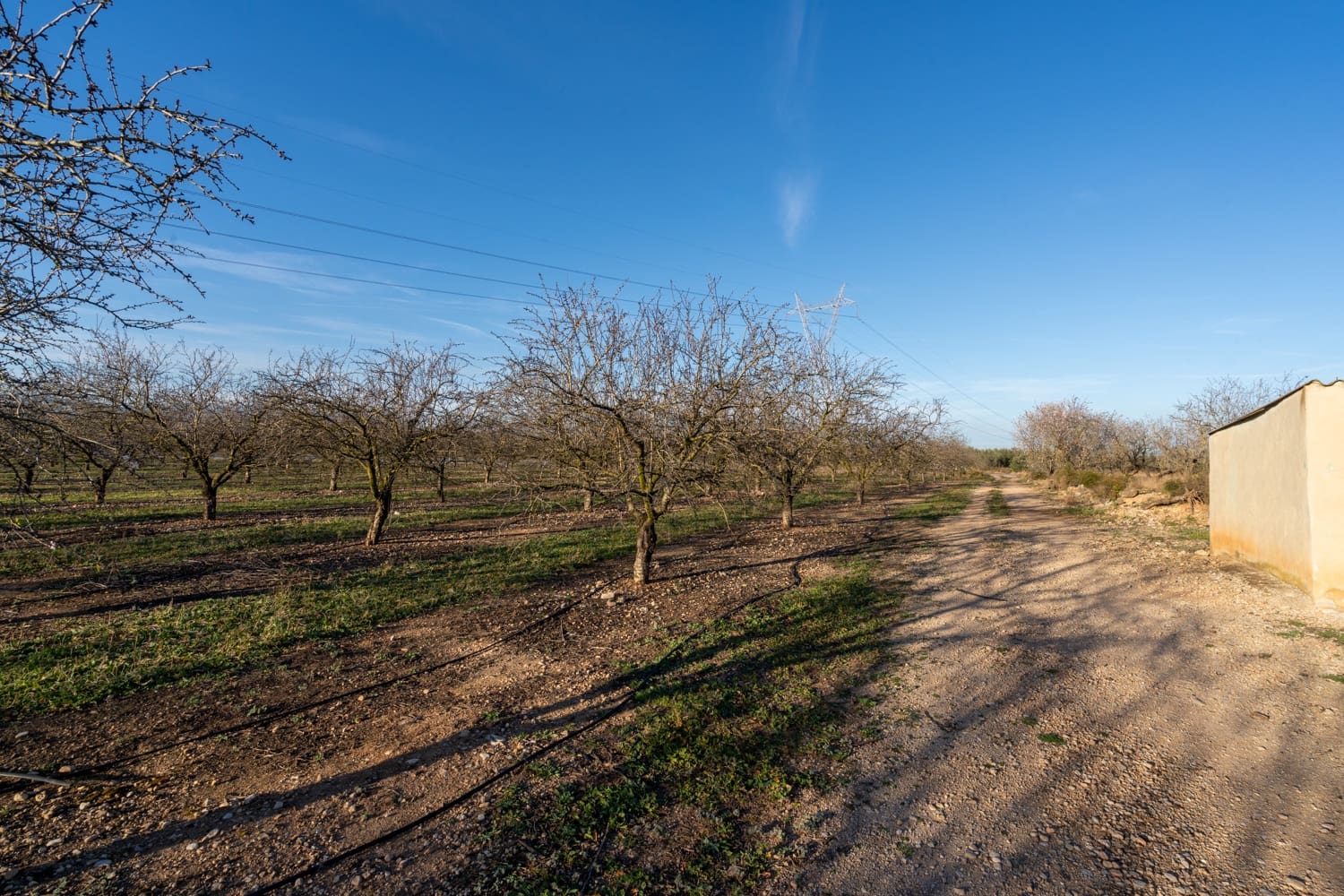 Finca/Landgut zu verkaufen in La Galera - 170.000 € (Ref: 8770924)
