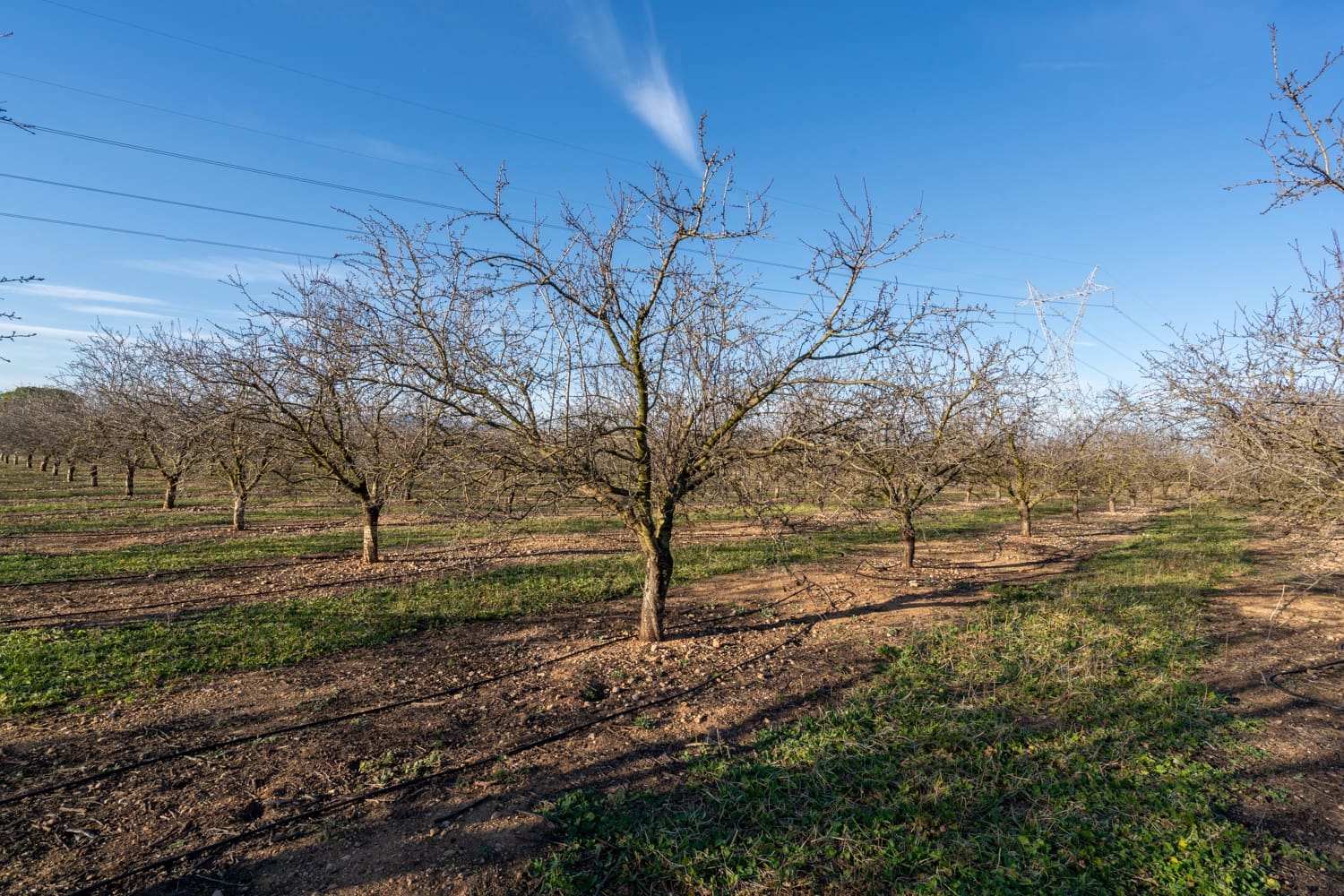 Finca/Landgut zu verkaufen in La Galera - 170.000 € (Ref: 8770924)