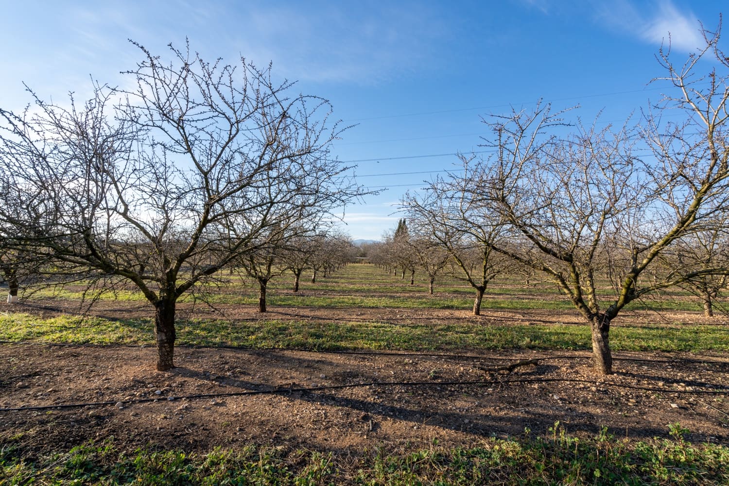 Finca/Landgut zu verkaufen in La Galera - 170.000 € (Ref: 8770924)