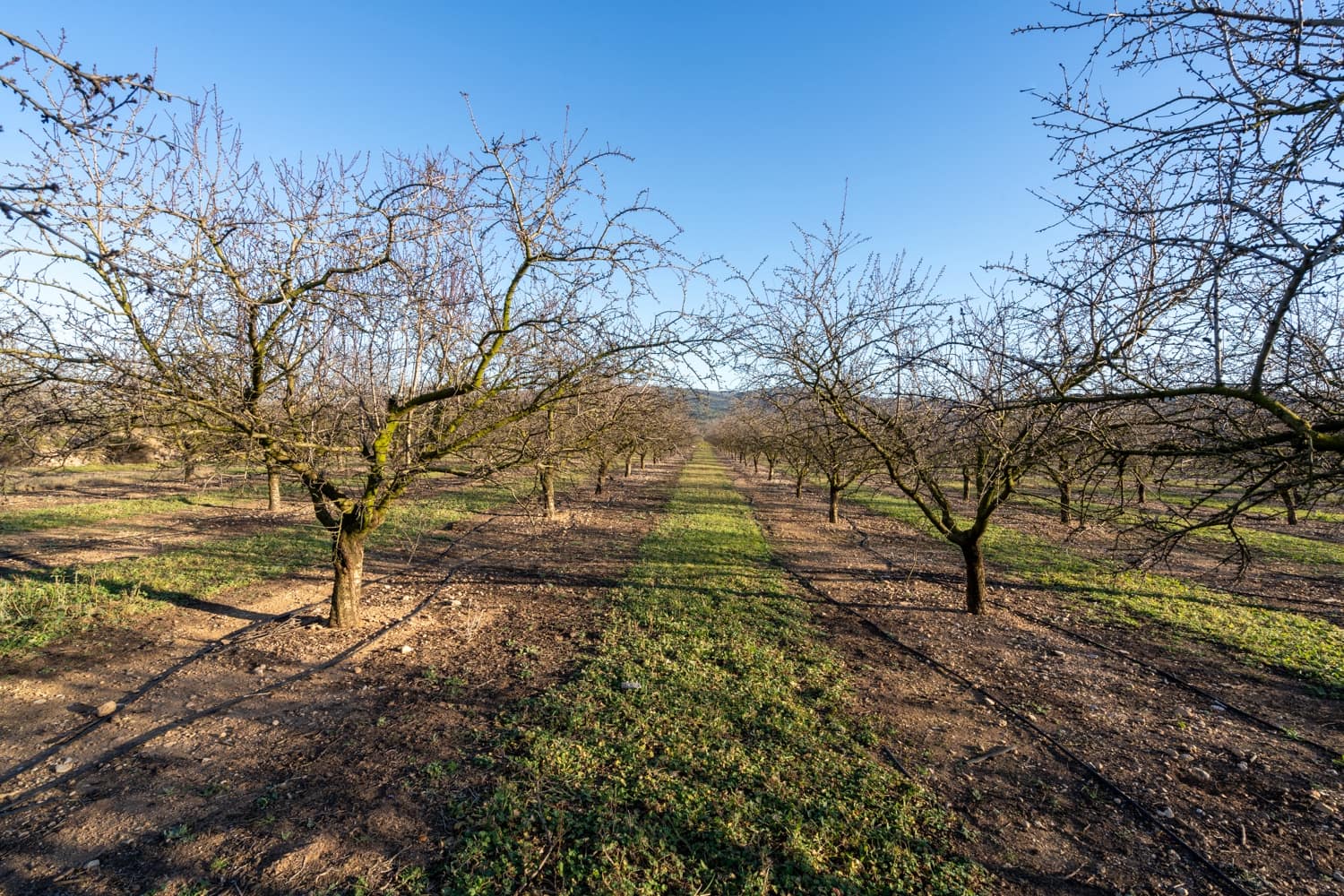 Finca/Landgut zu verkaufen in La Galera - 170.000 € (Ref: 8770924)