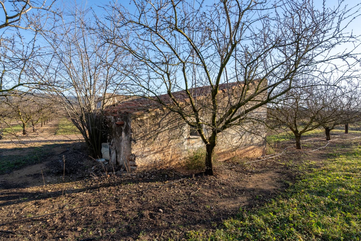 Finca/Landgut zu verkaufen in La Galera - 170.000 € (Ref: 8770924)