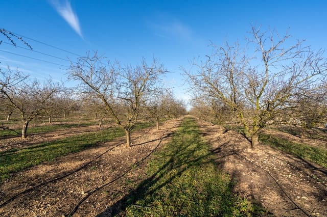 Finca/Casa di Campagna in vendita in La Galera - 170.000 € (Rif: 8770924)
