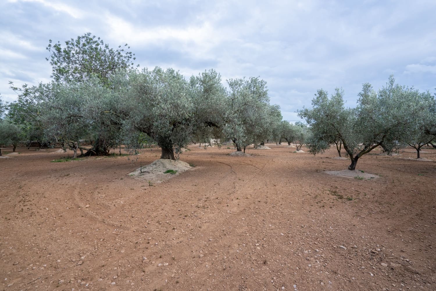 Grond te koop in Aldover - € 23.000 (Ref: 8774018)