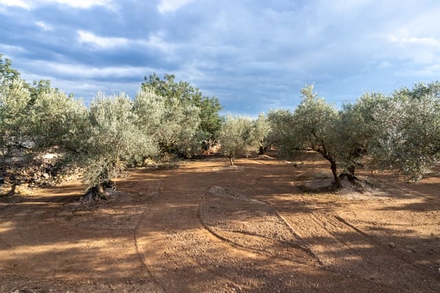 Grond te koop in Aldover - € 23.000 (Ref: 8774018)