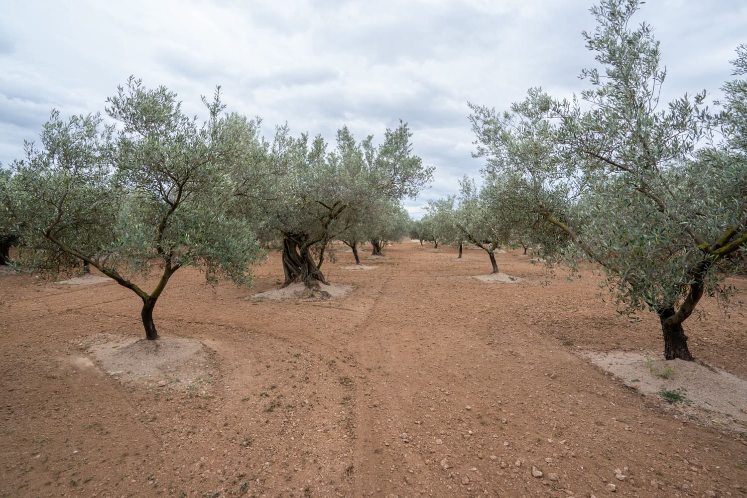 Grond te koop in Aldover - € 23.000 (Ref: 8774018)