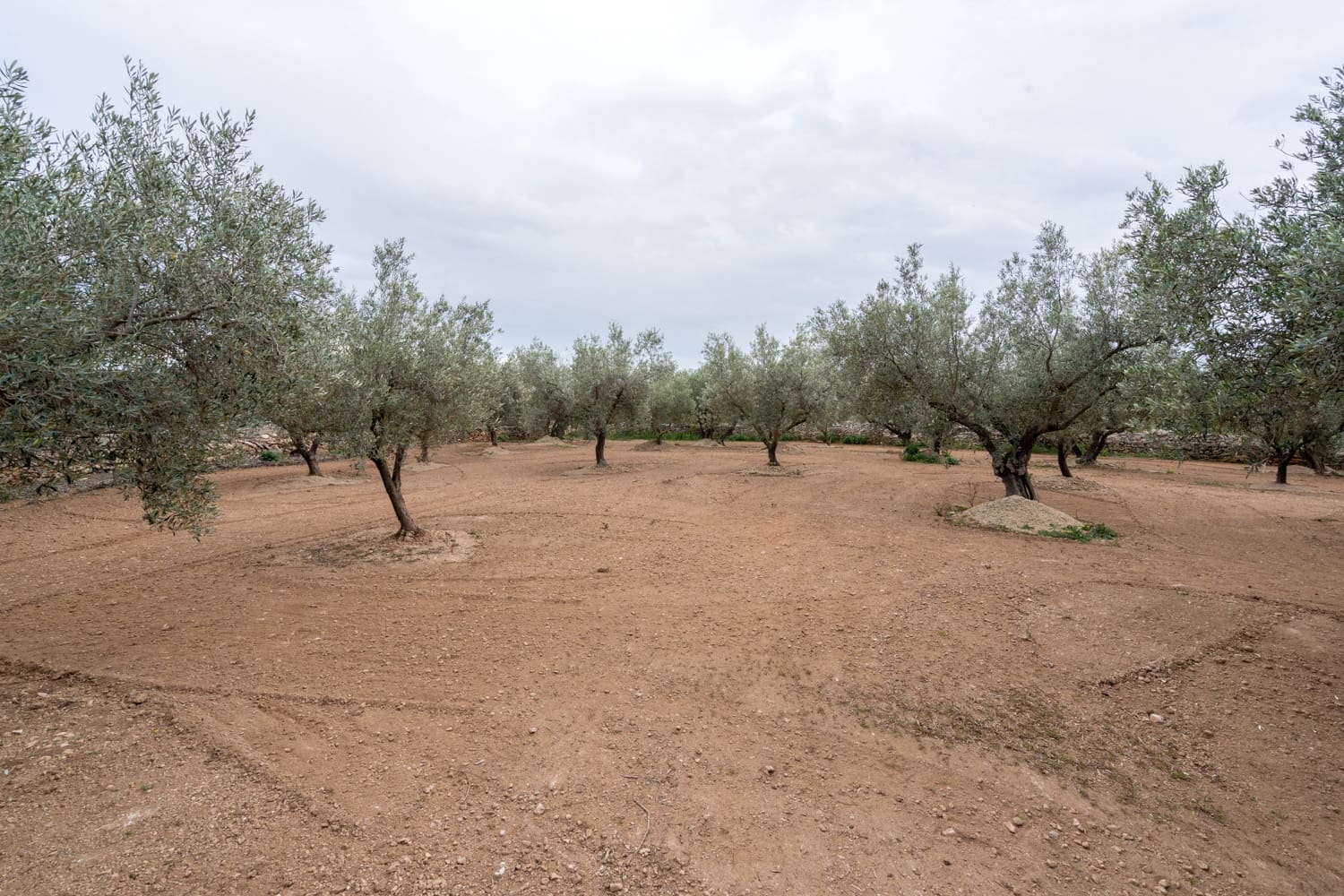 Grond te koop in Aldover - € 23.000 (Ref: 8774018)