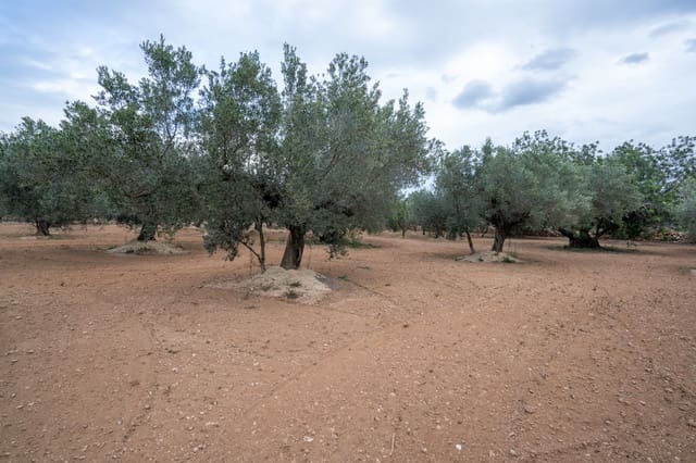 Grond te koop in Aldover - € 23.000 (Ref: 8774018)