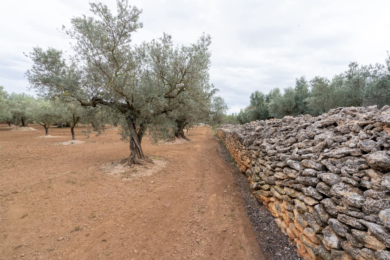 Grond te koop in Aldover - € 23.000 (Ref: 8774018)