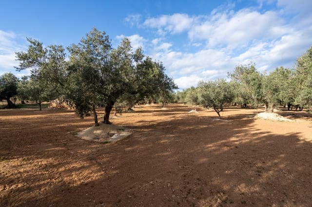 Undeveloped Land for sale in Aldover - € 23,000 (Ref: 8774018)