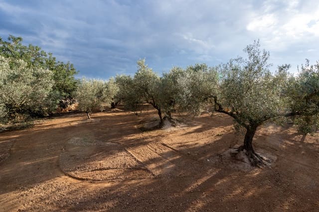Undeveloped Land for sale in Aldover - € 23,000 (Ref: 8774018)