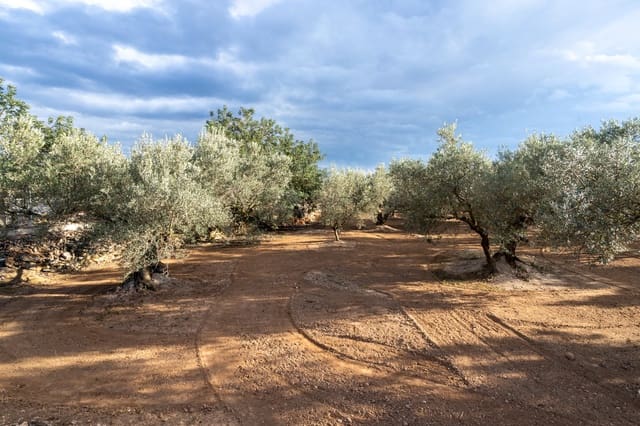 Undeveloped Land for sale in Aldover - € 23,000 (Ref: 8774018)