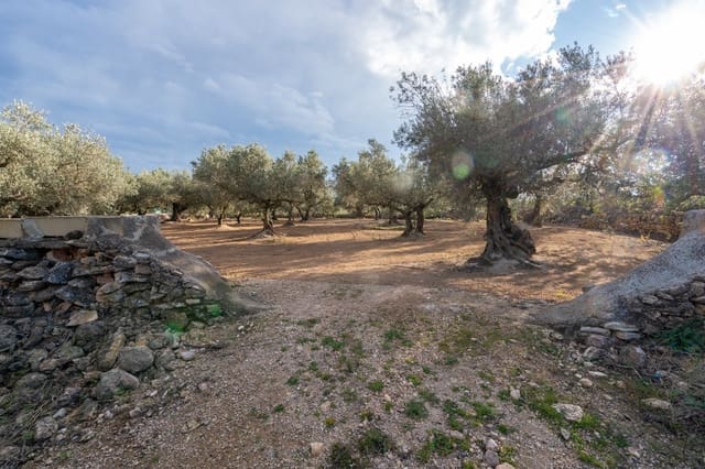 Undeveloped Land for sale in Aldover - € 23,000 (Ref: 8774018)