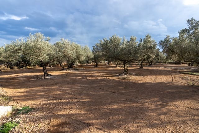 Undeveloped Land for sale in Aldover - € 23,000 (Ref: 8774018)