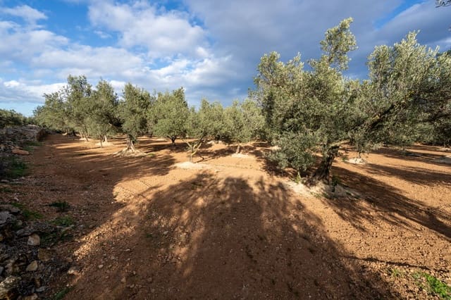 Undeveloped Land for sale in Aldover - € 23,000 (Ref: 8774018)