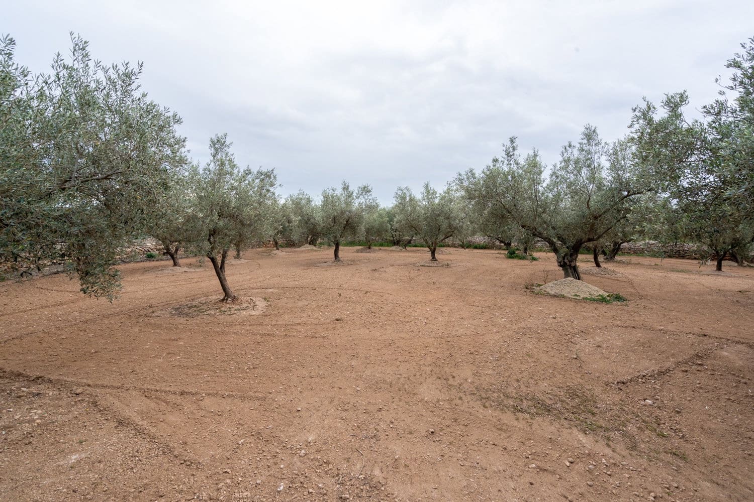 Grunde uden byggetilladelser til salg i Aldover - € 23.000 (Ref: 8774018)