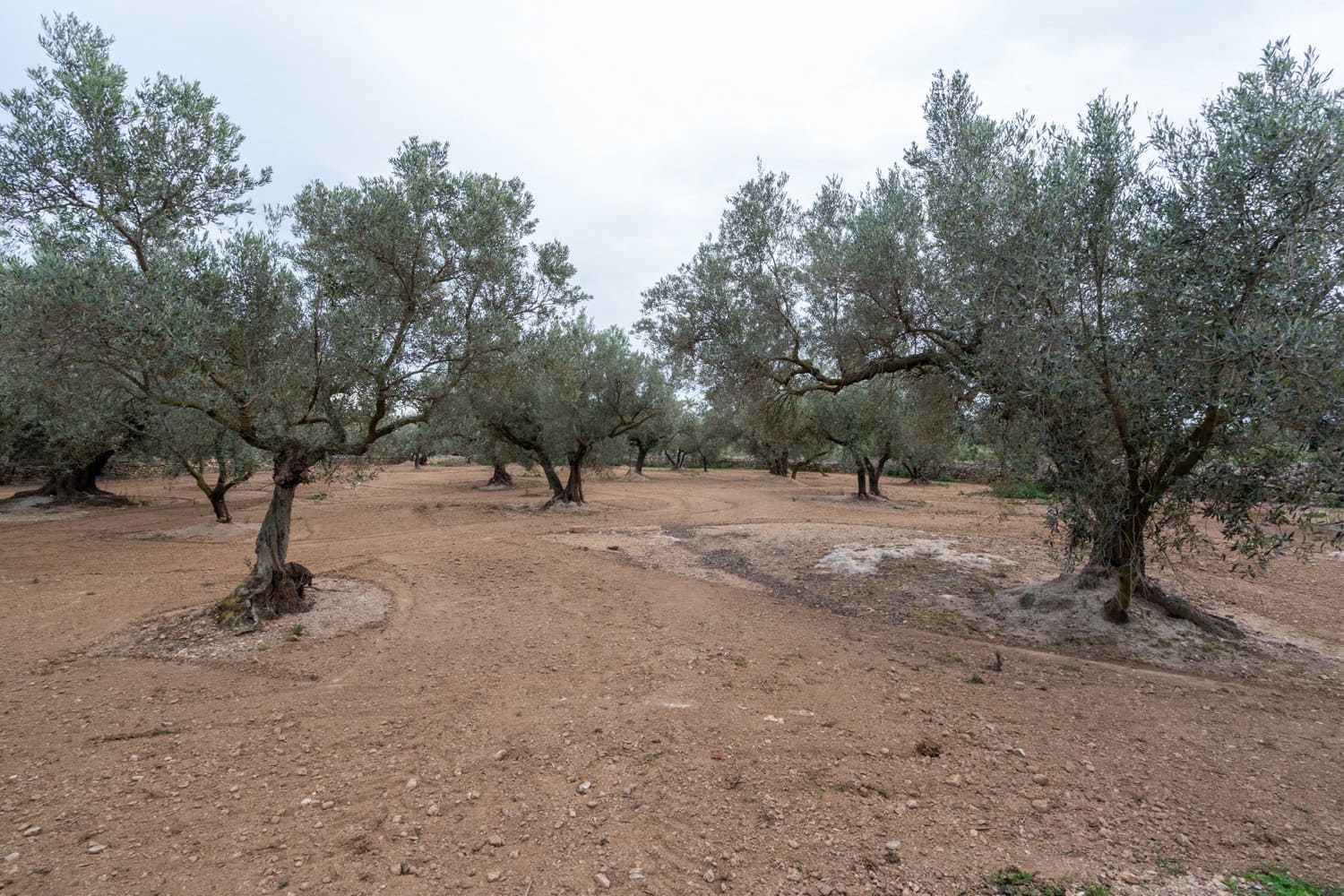 Grunde uden byggetilladelser til salg i Aldover - € 23.000 (Ref: 8774018)