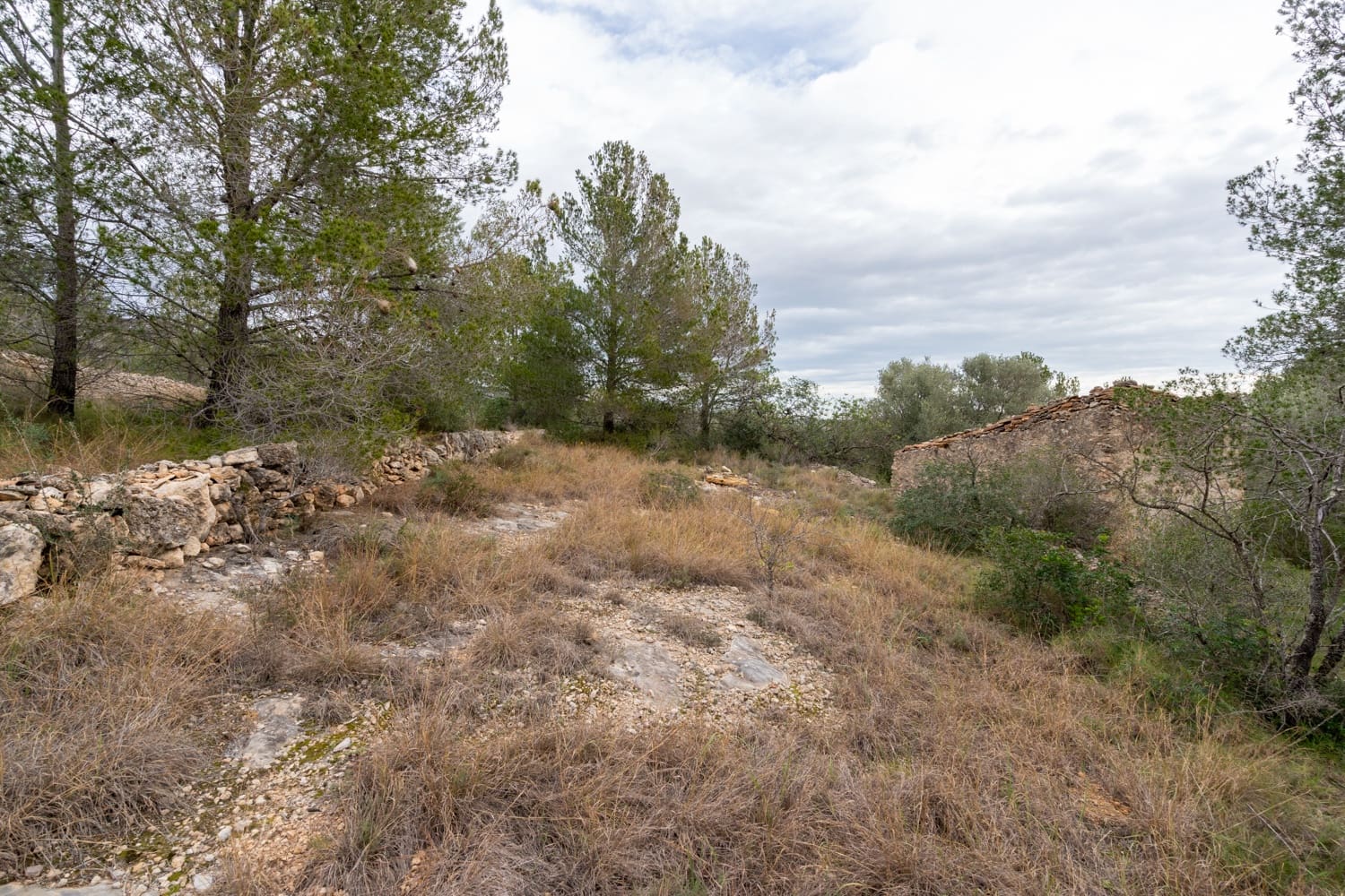 Quinta/Casa Rural para venda em Tortosa - 26 000 € (Ref: 8774019)