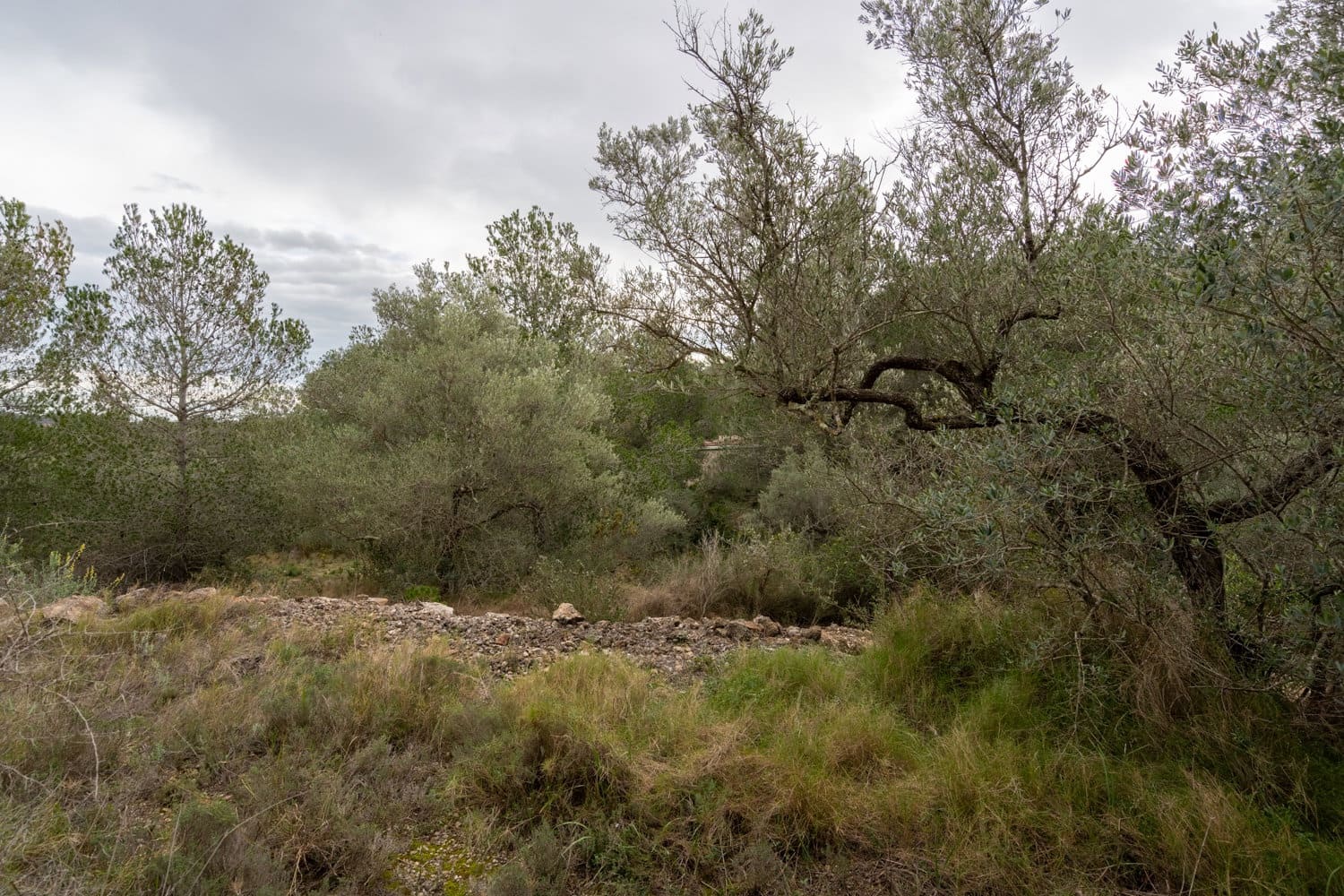 Finca/Casa Rural en Tortosa en venta - 26.000 € (Ref: 8774019)