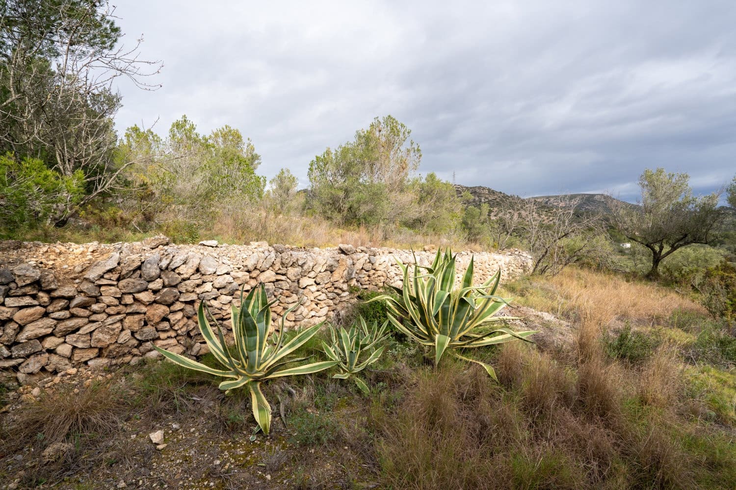 Finca/Casa Rural en Tortosa en venta - 26.000 € (Ref: 8774019)