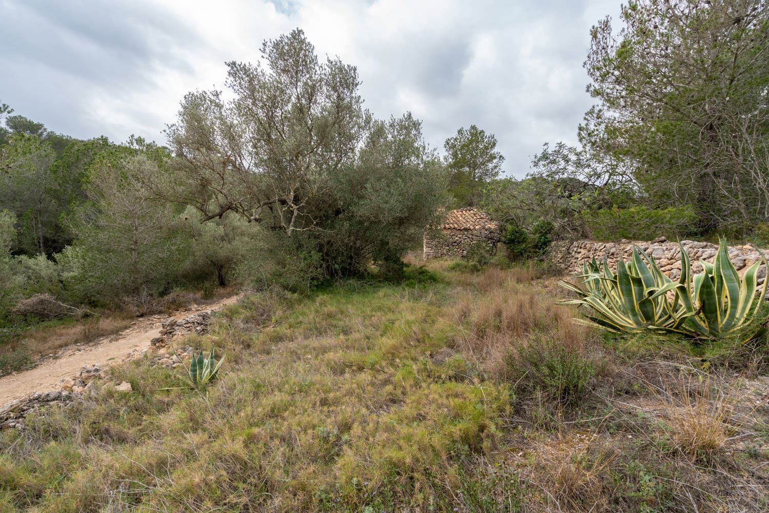 Finca/Casa Rural en Tortosa en venta - 26.000 € (Ref: 8774019)