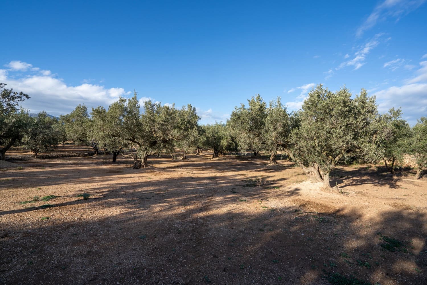 Finca/Maison de Campagne à vendre à Aldover - 59 000 € (Ref: 8776594)