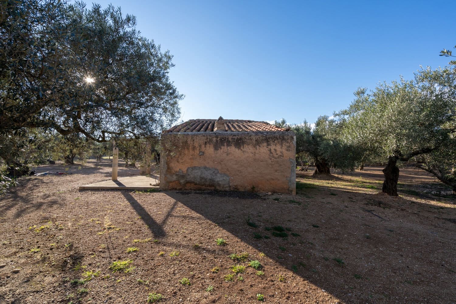 Finca/Maison de Campagne à vendre à Aldover - 59 000 € (Ref: 8776594)