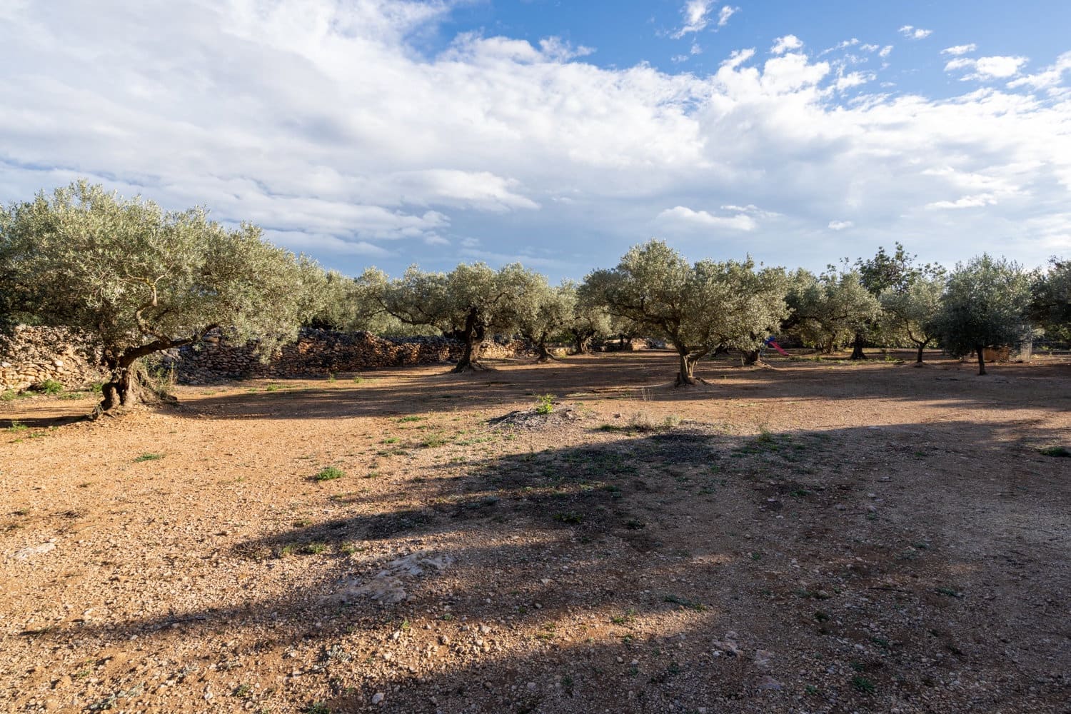 Finca/Maison de Campagne à vendre à Aldover - 59 000 € (Ref: 8776594)