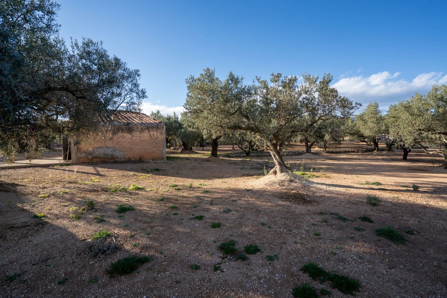 Finca/Maison de Campagne à vendre à Aldover - 59 000 € (Ref: 8776594)