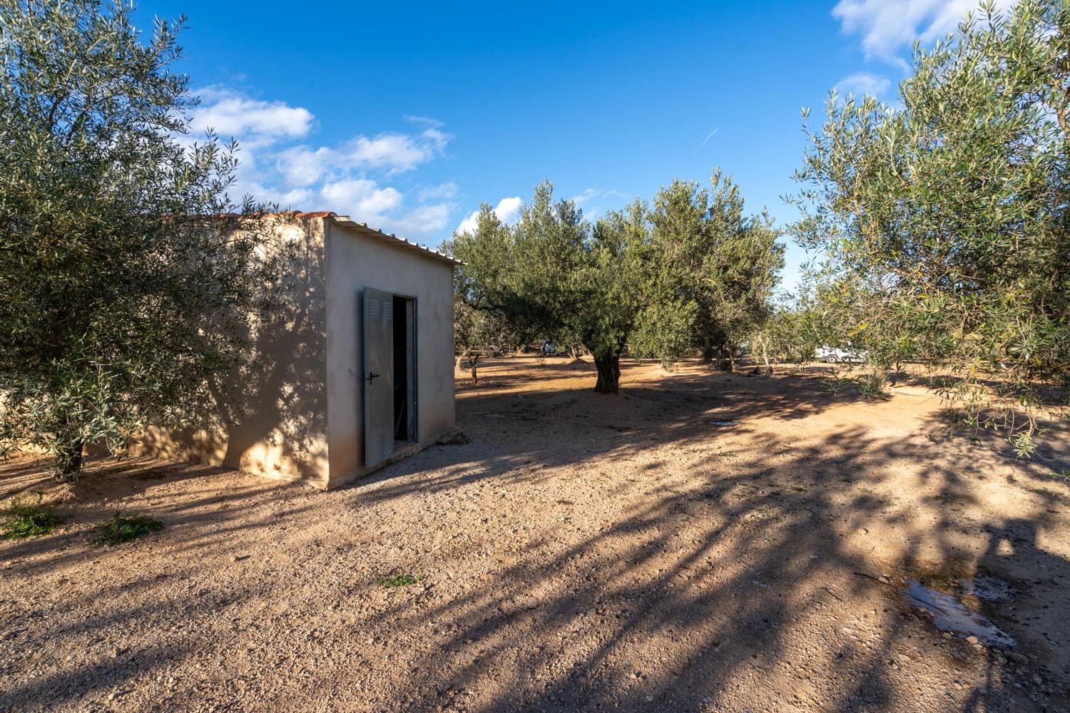 Finca/Maison de Campagne à vendre à Aldover - 59 000 € (Ref: 8776594)
