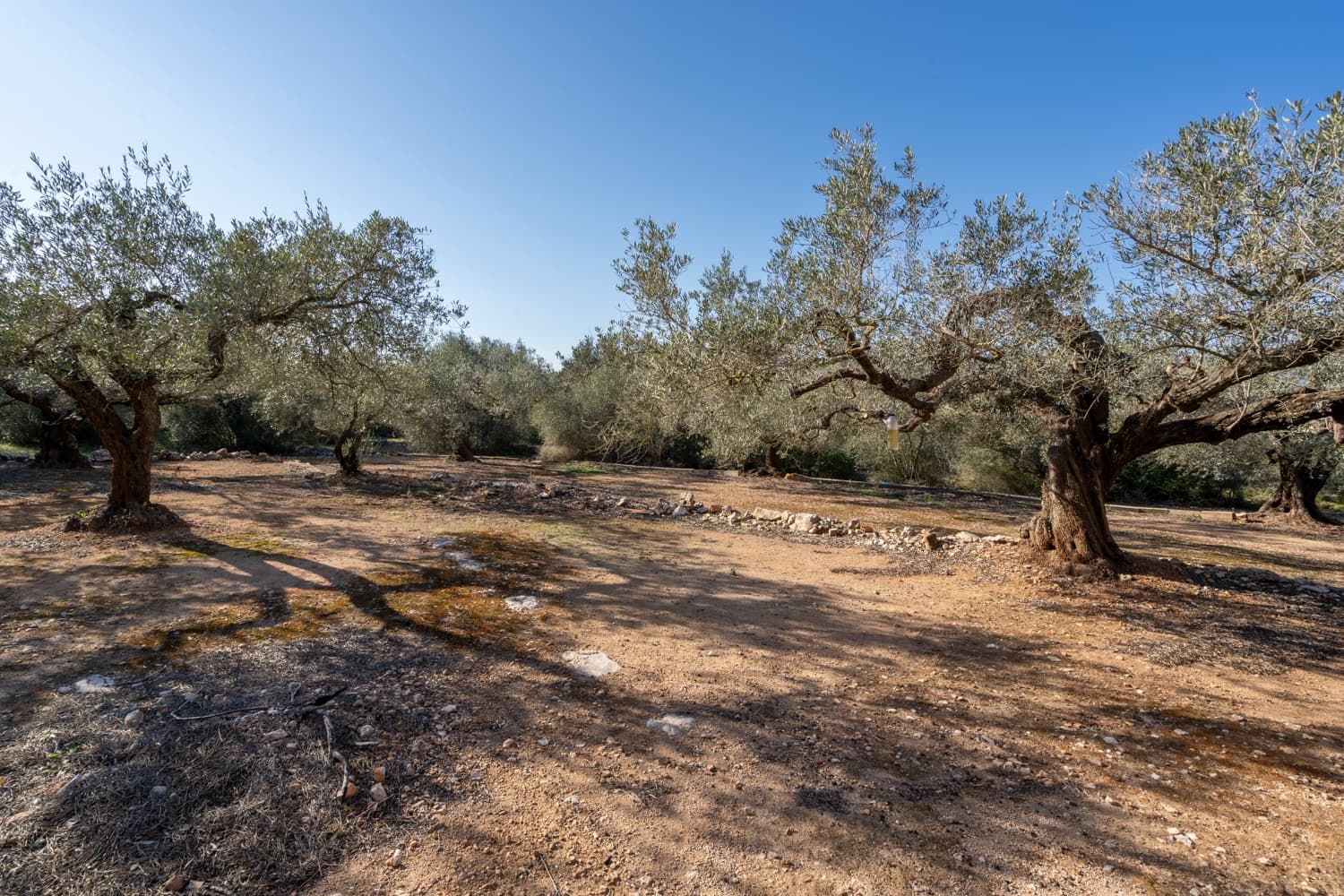 2 Zimmer Finca/Landgut zu verkaufen in Godall - 40.000 € (Ref: 8787161)