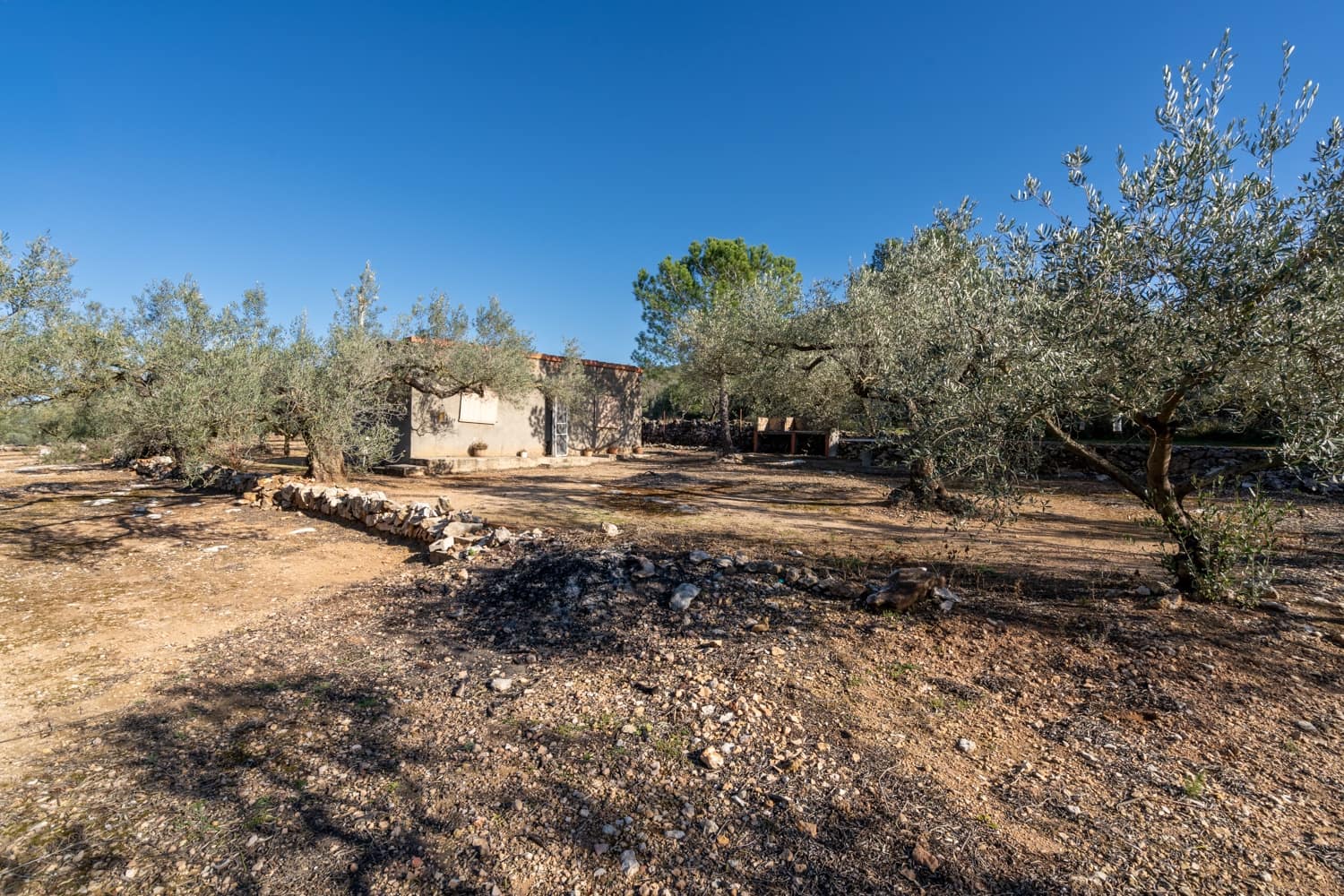 2 Zimmer Finca/Landgut zu verkaufen in Godall - 40.000 € (Ref: 8787161)