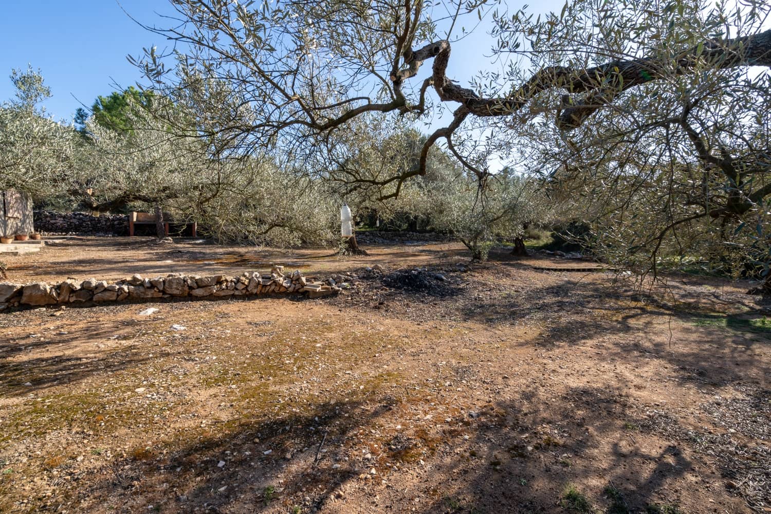 2 Zimmer Finca/Landgut zu verkaufen in Godall - 40.000 € (Ref: 8787161)