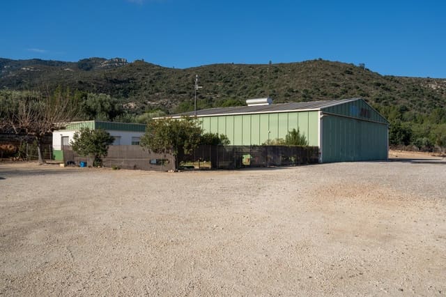3 camera da letto Finca/Casa di Campagna in vendita in Amposta - 600.000 € (Rif: 8803857)