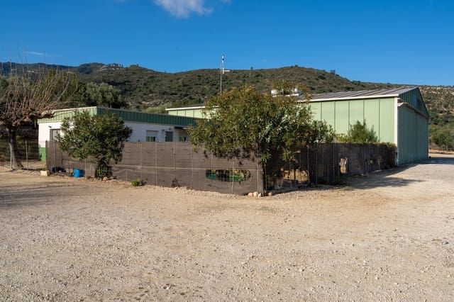 3 camera da letto Finca/Casa di Campagna in vendita in Amposta - 600.000 € (Rif: 8803857)