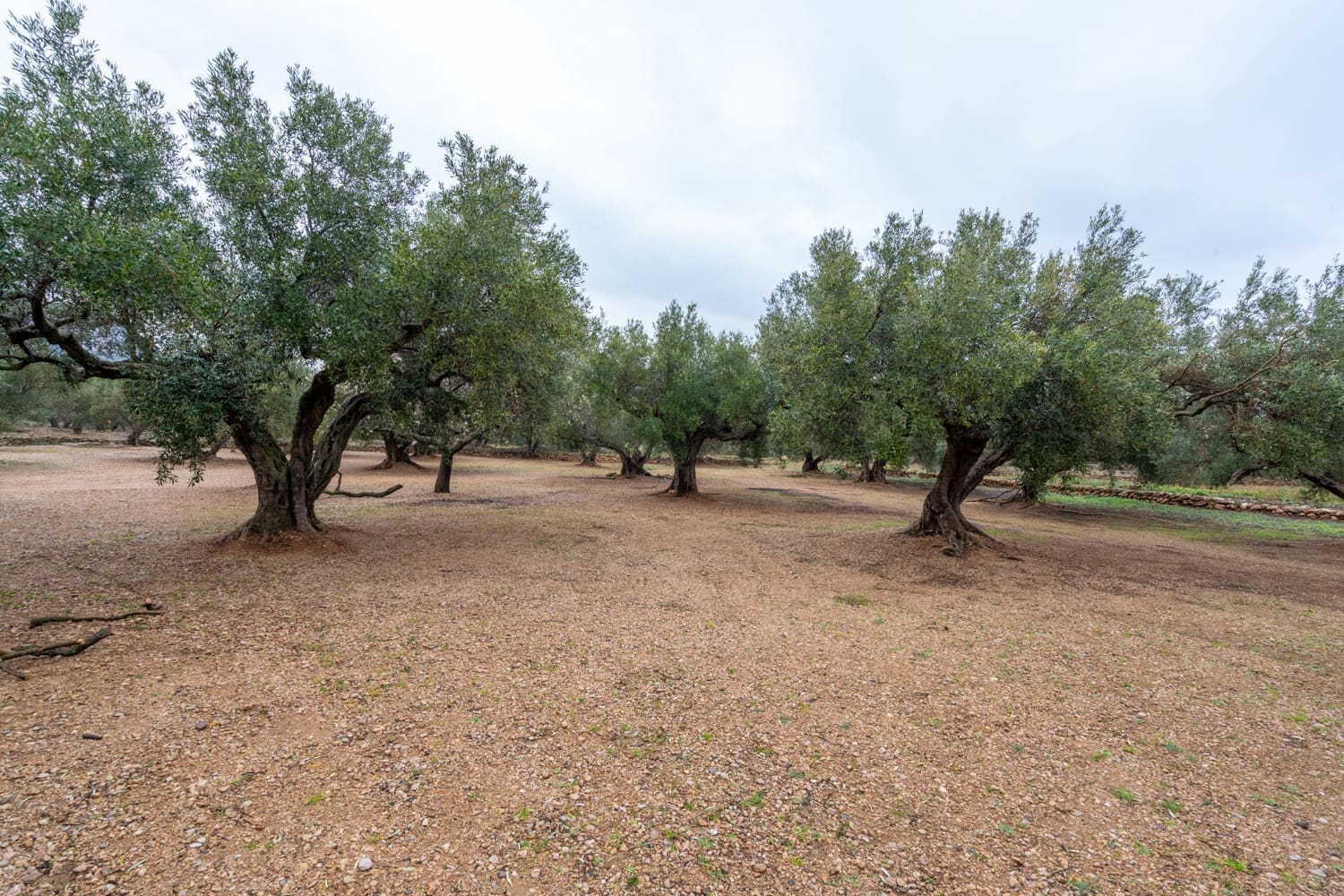 Finca/Landehus til salg i Roquetes - € 30.000 (Ref: 8810233)