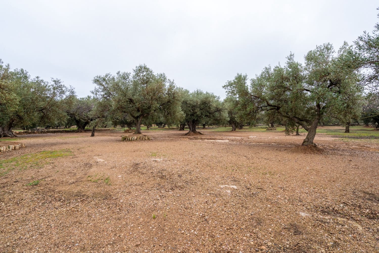 Finca/Landehus til salg i Roquetes - € 30.000 (Ref: 8810233)