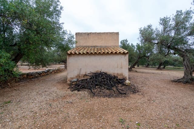 Quinta/Casa Rural para venda em Roquetes - 30 000 € (Ref: 8810233)