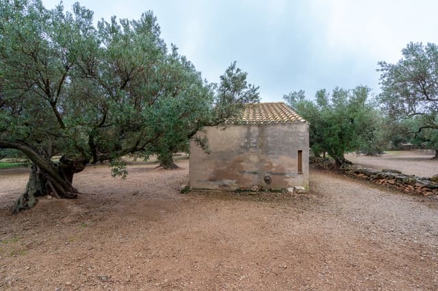 Quinta/Casa Rural para venda em Roquetes - 30 000 € (Ref: 8810233)