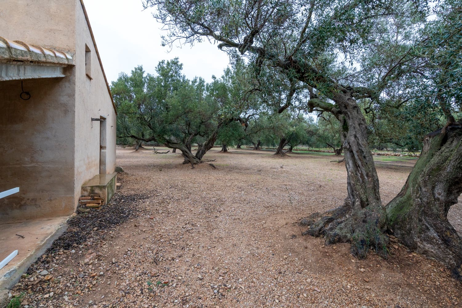 Finca/Landehus til salg i Roquetes - € 30.000 (Ref: 8810233)