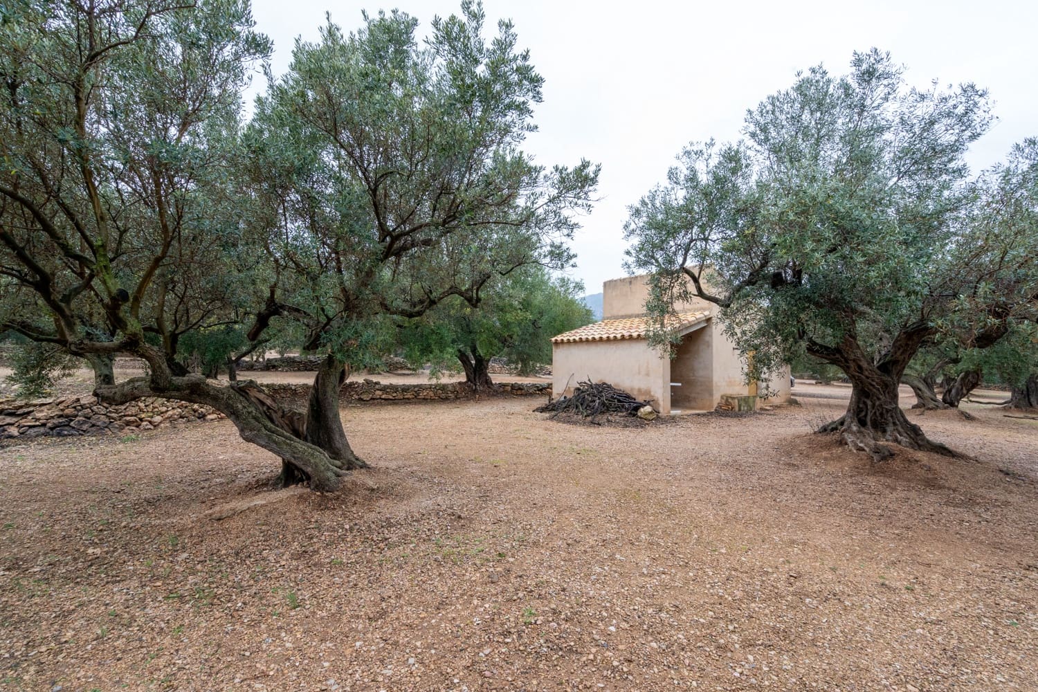 Finca/Landehus til salg i Roquetes - € 30.000 (Ref: 8810233)