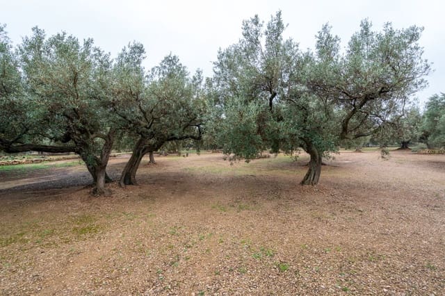 Finca/Casa di Campagna in vendita in Roquetes - 30.000 € (Rif: 8810233)