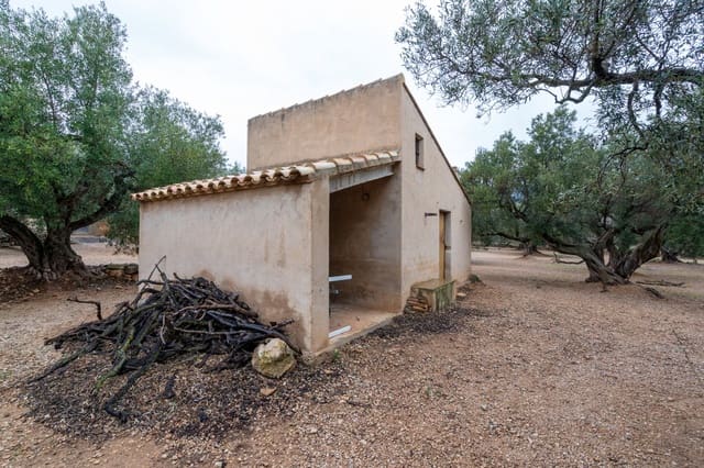 Finca/Casa di Campagna in vendita in Roquetes - 30.000 € (Rif: 8810233)