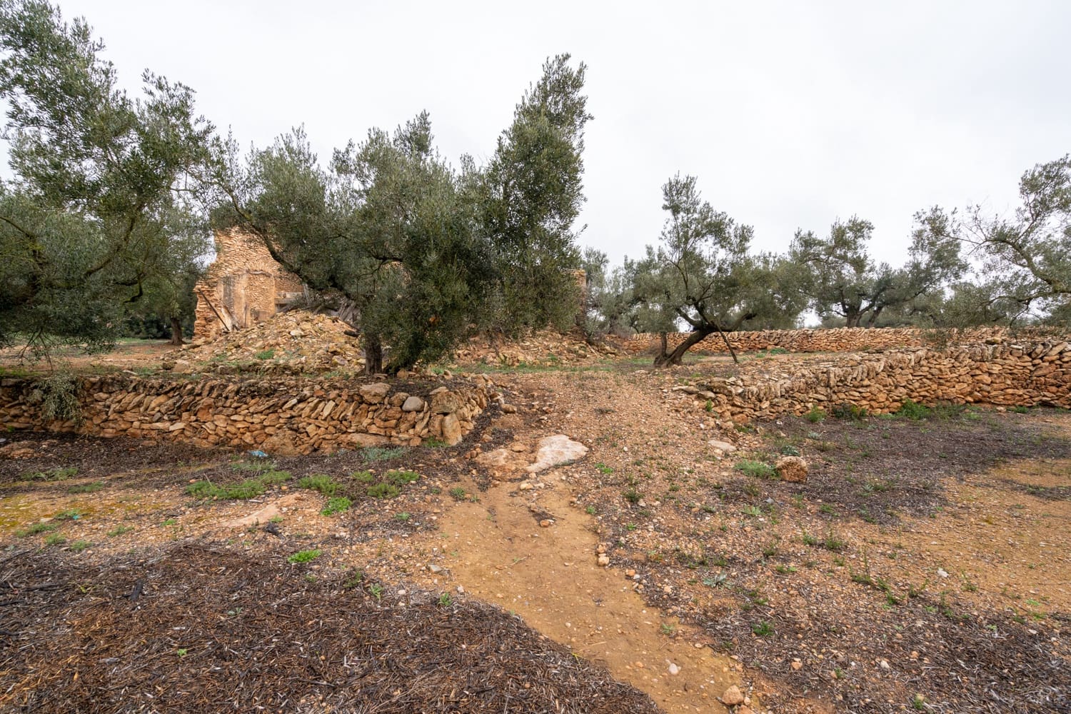 Finca/Landhuis te koop in Vinallop - € 30.000 (Ref: 8811035)