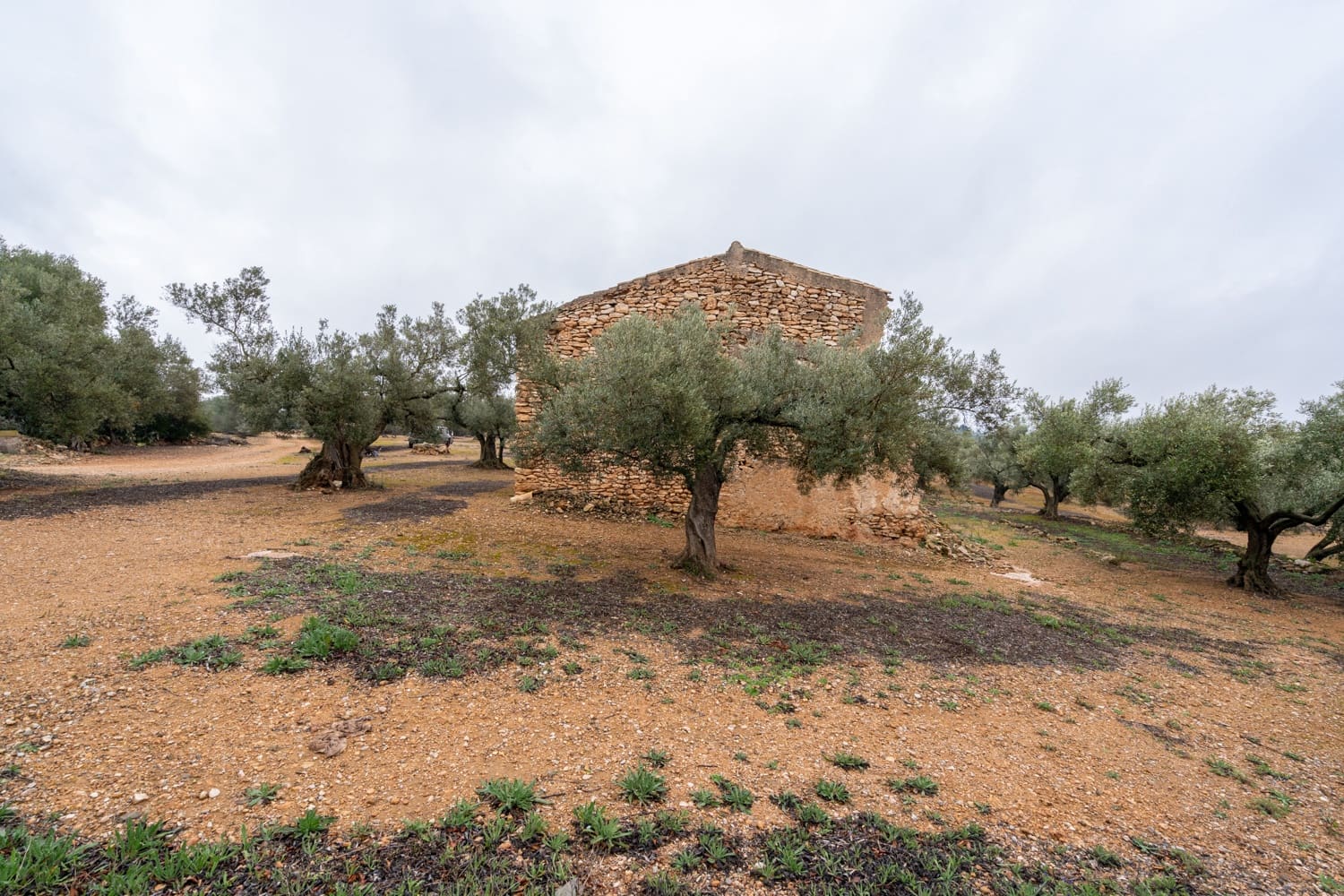 Finca/Landhuis te koop in Vinallop - € 30.000 (Ref: 8811035)