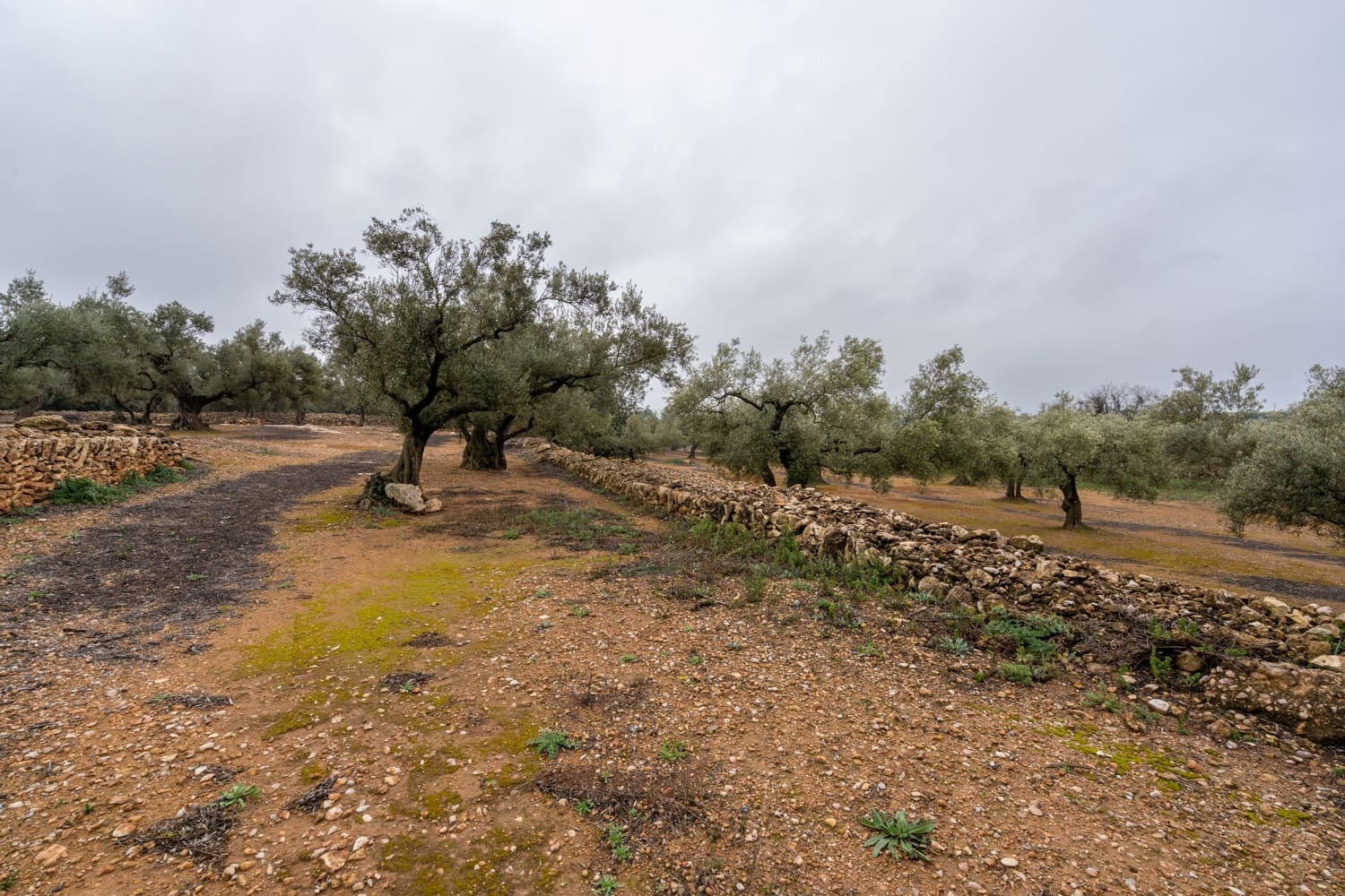 Finca/Landhuis te koop in Vinallop - € 30.000 (Ref: 8811035)