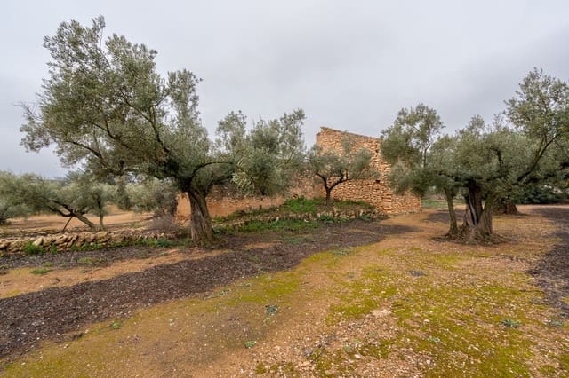 Finca/Herregård til salgs i Vinallop, Tortosa - € 30 000 (Ref: 8811035)