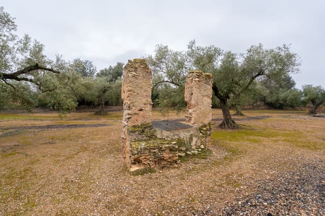 Finca/Herregård til salgs i Vinallop, Tortosa - € 30 000 (Ref: 8811035)