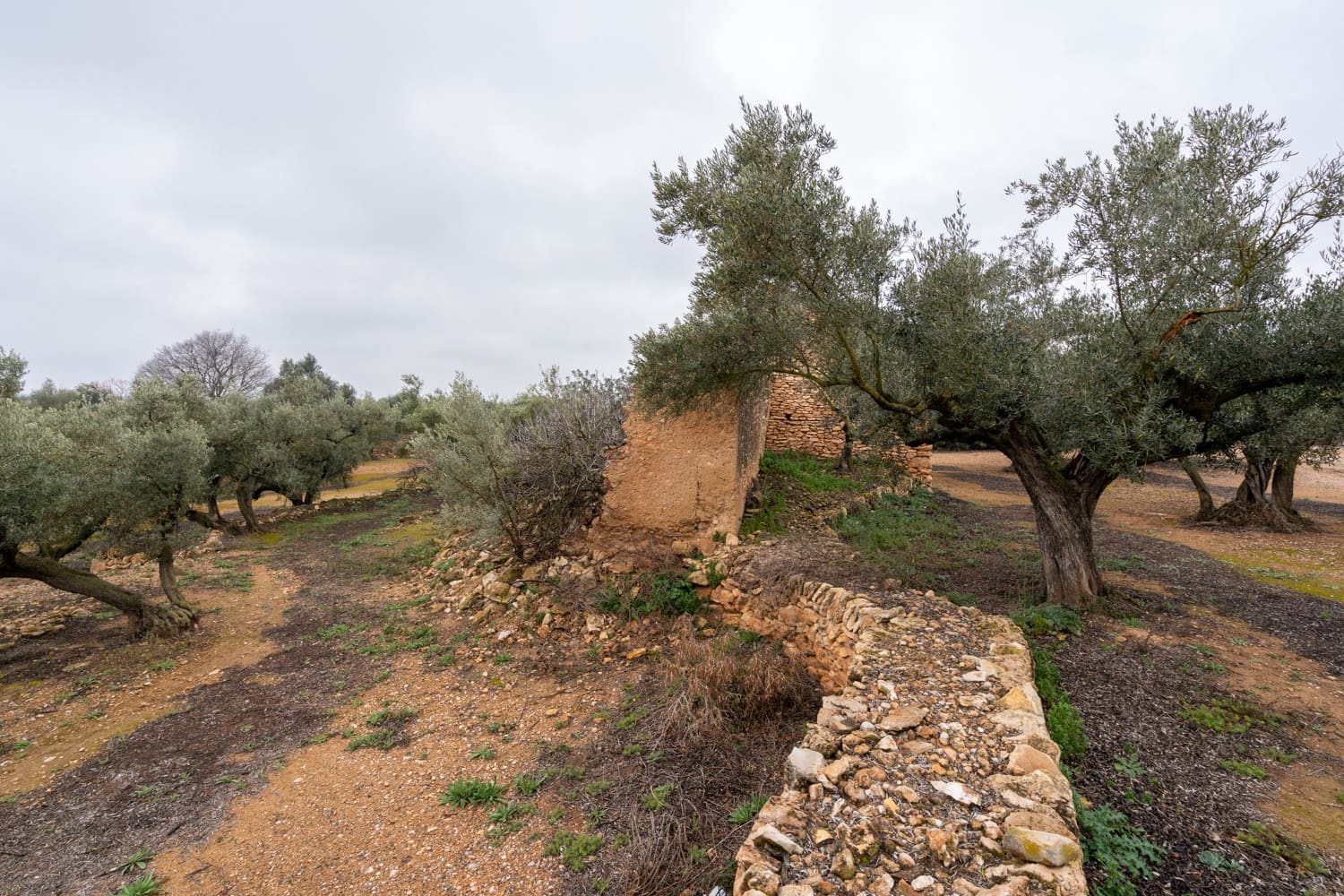 Finca/Landhuis te koop in Vinallop - € 30.000 (Ref: 8811035)